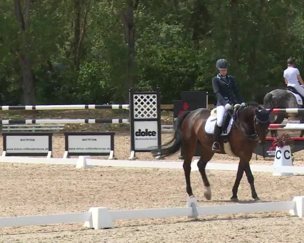 Reitturnier Kleinostheim/Ufr. 2020