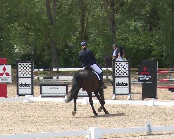 Reitturnier Kleinostheim/Ufr. 2020