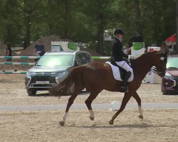 Reitturnier Kleinostheim/Ufr. 2020