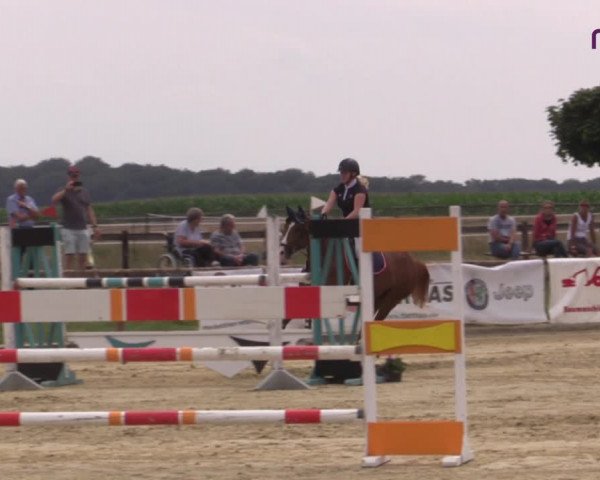 Reitturnier Marl, Reitanlage Rohmann 2020
