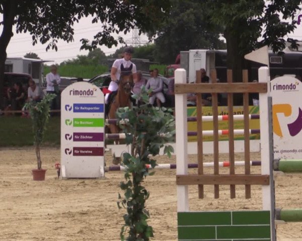 Reitturnier Marl, Reitanlage Rohmann 2020