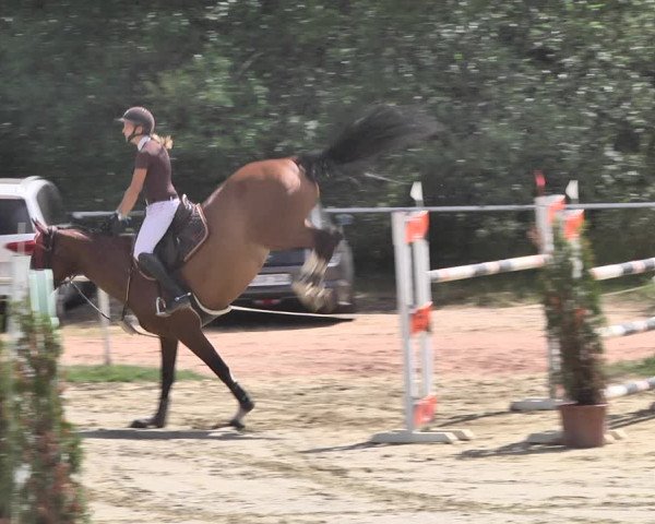 Reitturnier Heiligenwald 2020