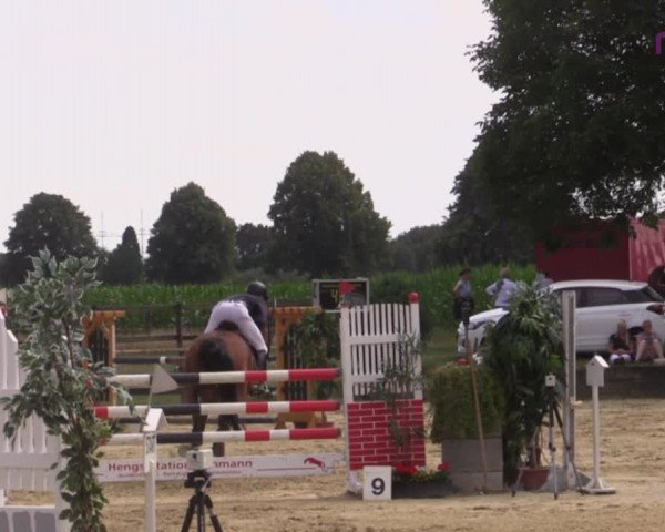 Reitturnier Marl, Reitanlage Rohmann 2020