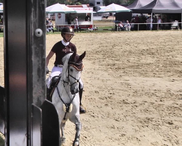 Reitturnier Heiligenwald 2020
