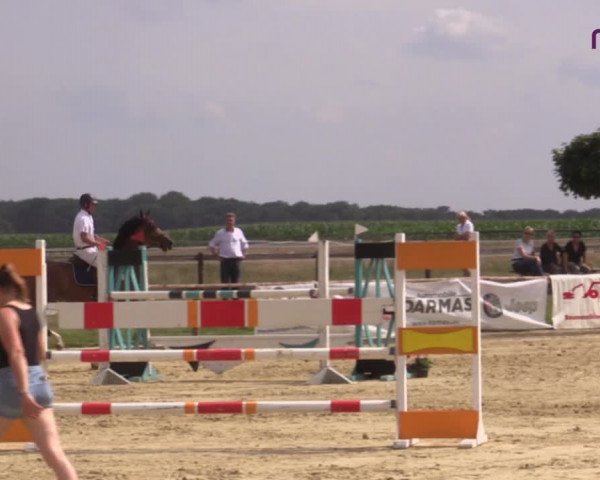 Reitturnier Marl, Reitanlage Rohmann 2020
