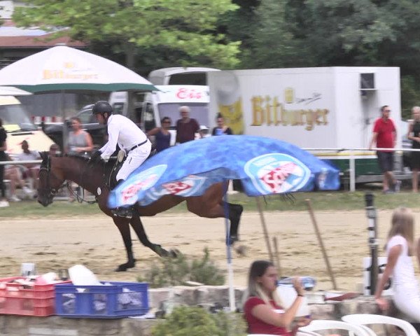 Reitturnier Heiligenwald 2020