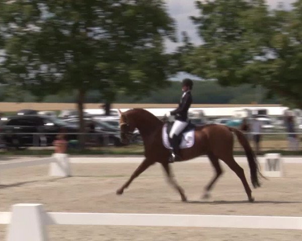 Reitturnier Rot am See- Musdorf 2020