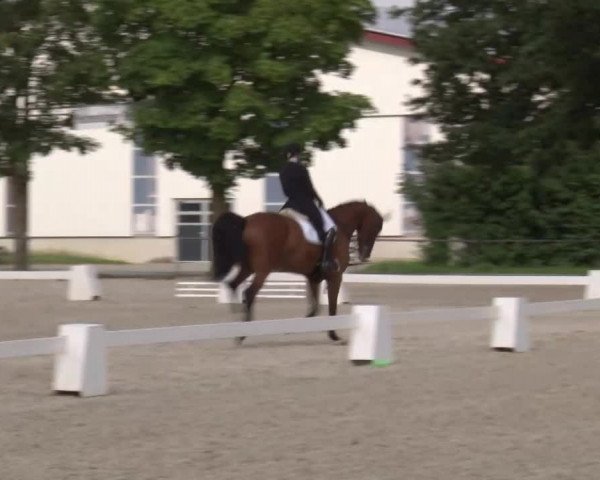 Reitturnier Rot am See- Musdorf 2020