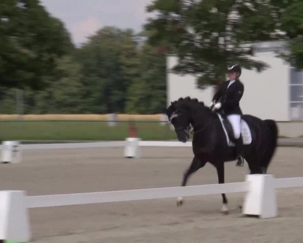 Reitturnier Rot am See- Musdorf 2020
