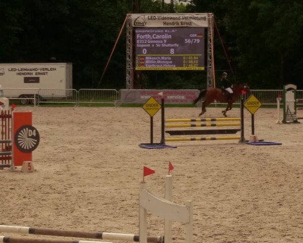 Reitturnier Prussendorf 2020