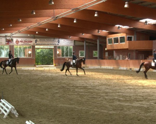 Reitturnier Seppenrade 2020
