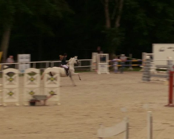 Reitturnier Prussendorf 2020