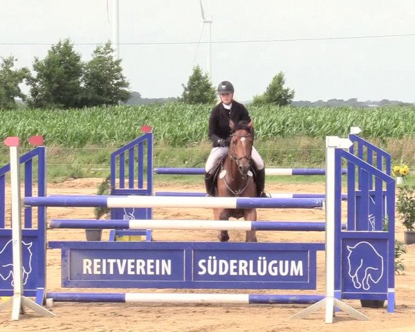Reitturnier Süderlügum 2020