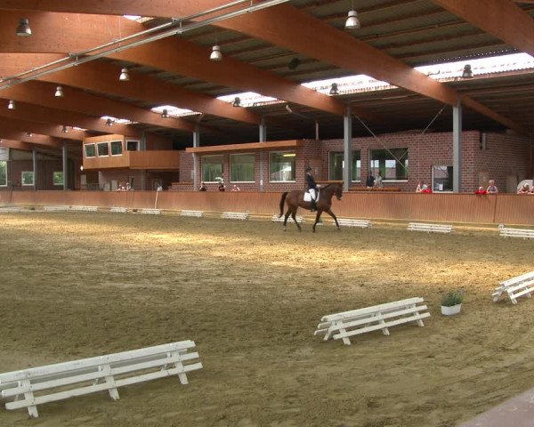 Reitturnier Seppenrade 2020