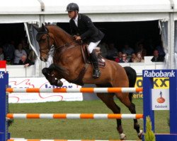 Springpferd Willink (KWPN (Niederländisches Warmblut), 2003, von Whirl Wind)