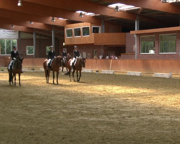 Reitturnier Seppenrade 2020
