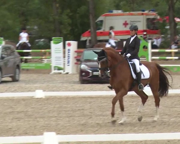 Reitturnier Kleinostheim/Ufr. 2020