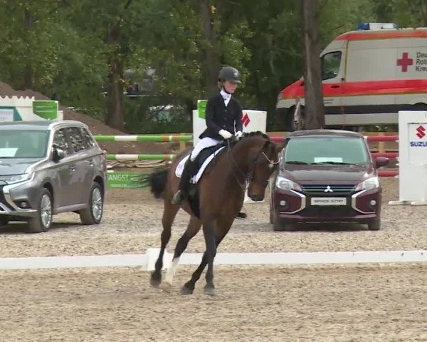 Reitturnier Kleinostheim/Ufr. 2020