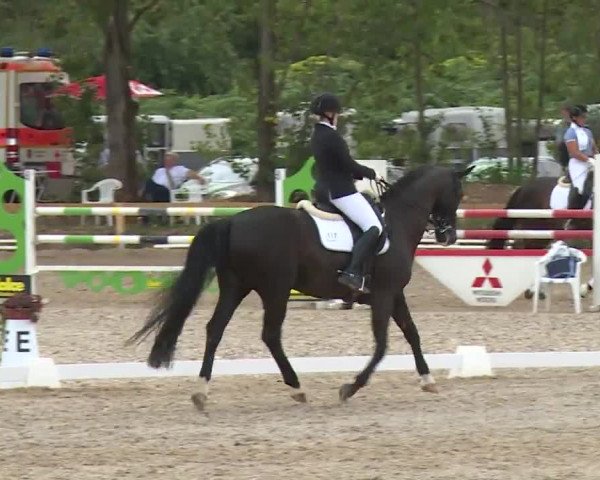 Reitturnier Kleinostheim/Ufr. 2020