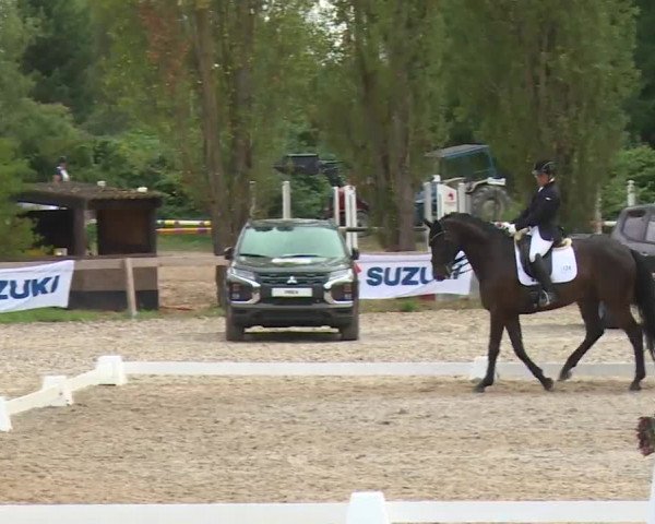 Reitturnier Kleinostheim/Ufr. 2020