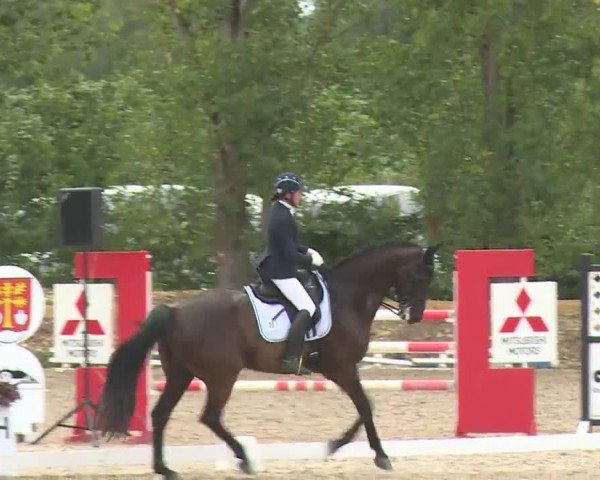 Reitturnier Kleinostheim/Ufr. 2020