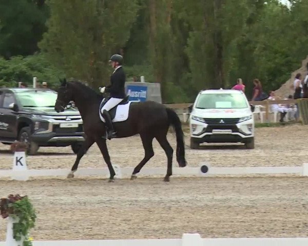Reitturnier Kleinostheim/Ufr. 2020