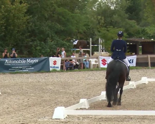 Reitturnier Kleinostheim/Ufr. 2020