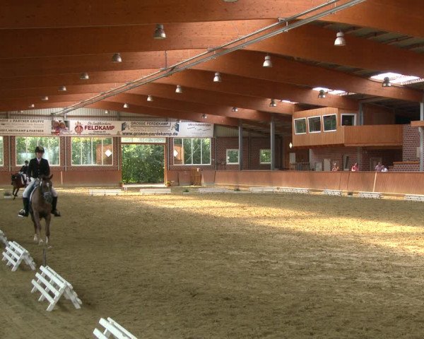 Reitturnier Seppenrade 2020