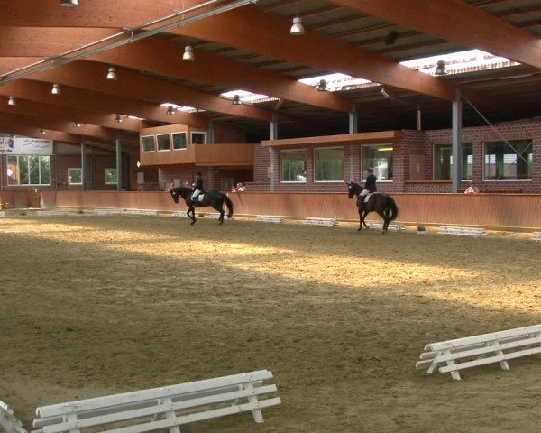 Reitturnier Seppenrade 2020