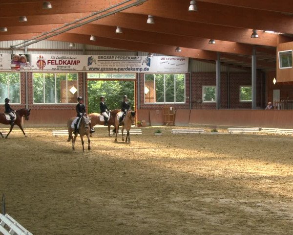 Reitturnier Seppenrade 2020