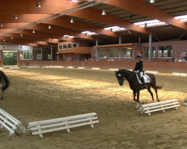 Reitturnier Seppenrade 2020
