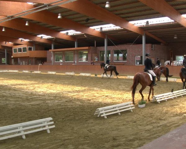 Reitturnier Seppenrade 2020