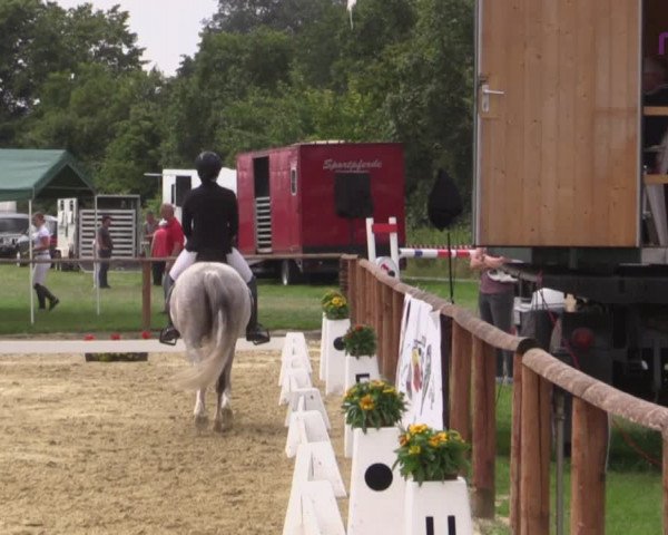 Reitturnier Marl, Reitanlage Rohmann 2020