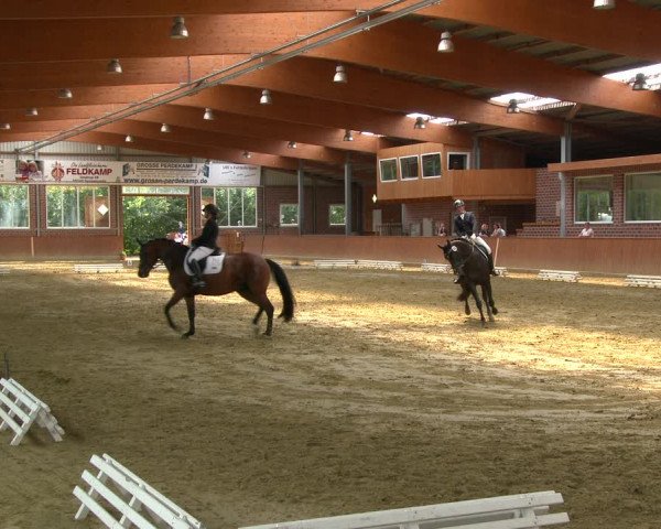 Reitturnier Seppenrade 2020