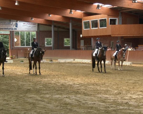 Reitturnier Seppenrade 2020