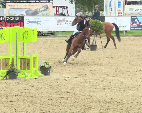 Reitturnier Dagmersellen 2020
