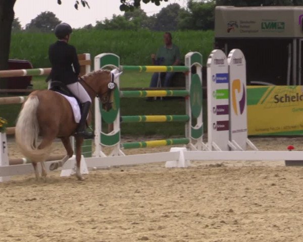 Reitturnier Marl, Reitanlage Rohmann 2020