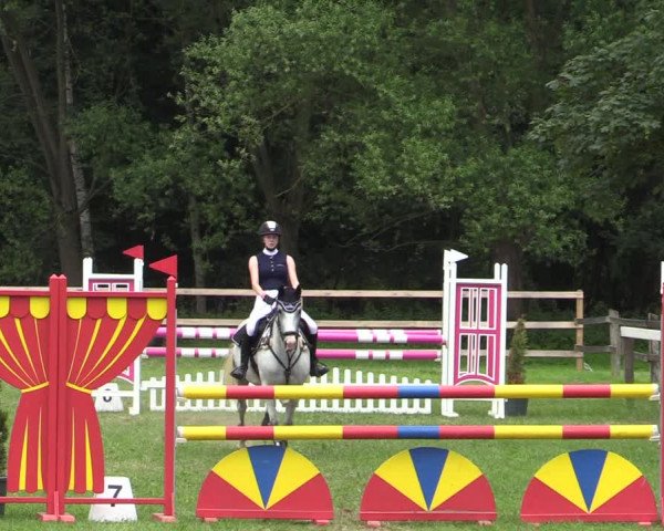 Reitturnier Greven 2020
