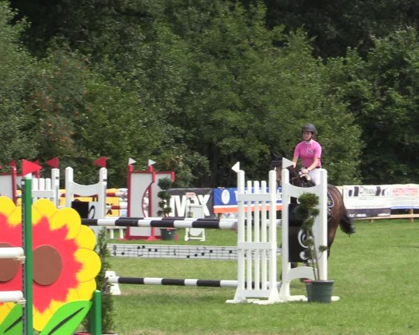 Reitturnier Greven 2020