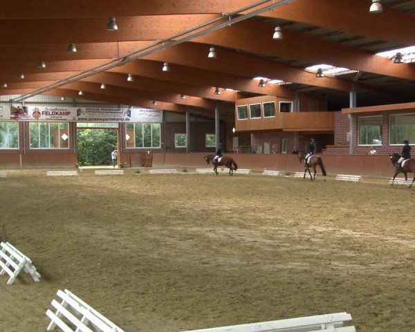 Reitturnier Seppenrade 2020