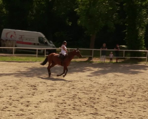 Reitturnier Prussendorf 2020