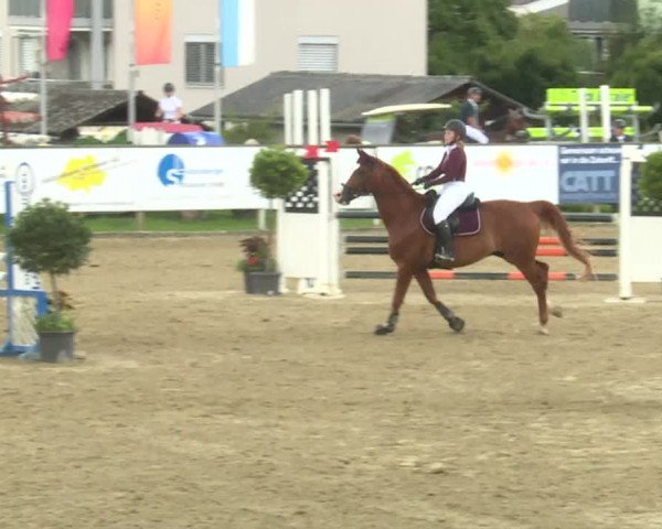 Reitturnier Dagmersellen 2020