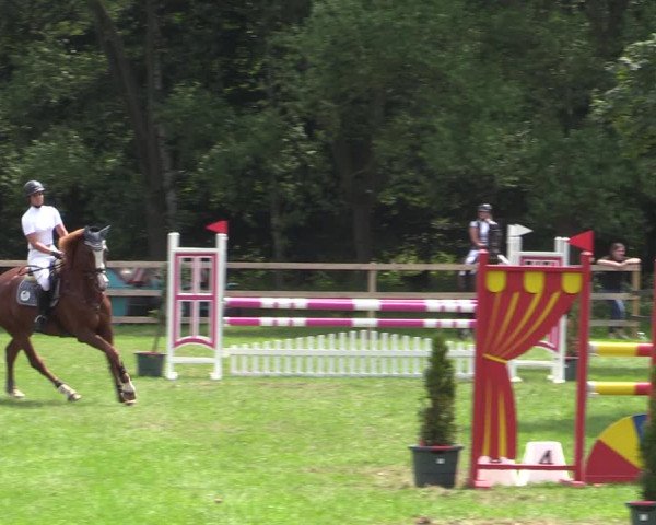 Reitturnier Greven 2020