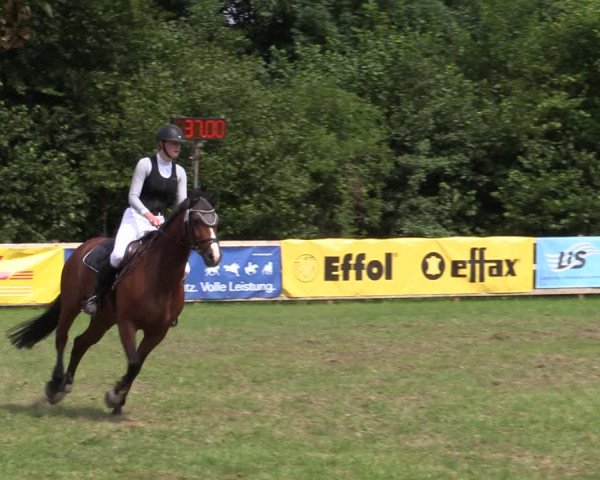 Reitturnier Greven 2020