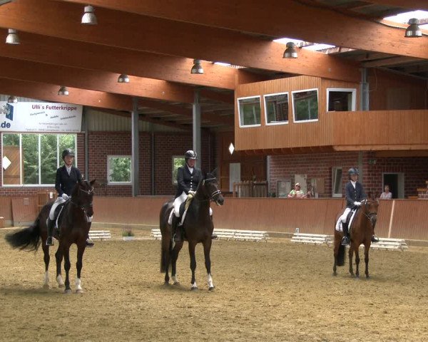 Reitturnier Seppenrade 2020