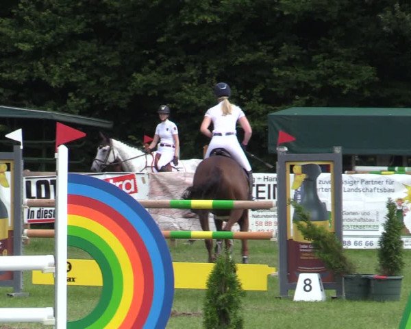 Reitturnier Greven 2020