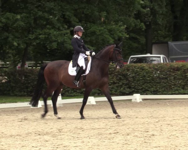Reitturnier Greven 2020