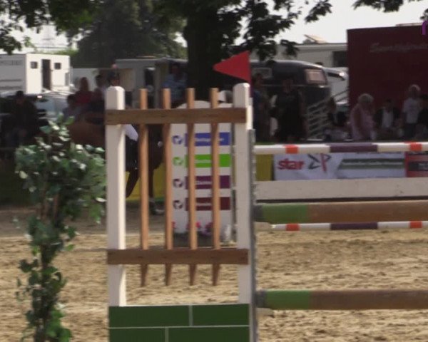 Reitturnier Marl, Reitanlage Rohmann 2020