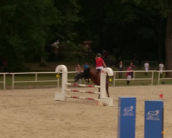 Reitturnier Prussendorf 2020