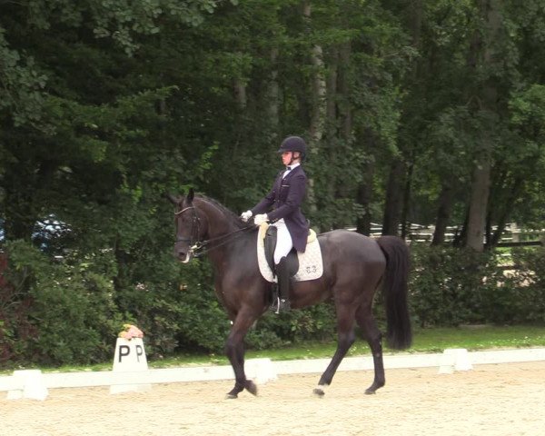 Reitturnier Greven 2020